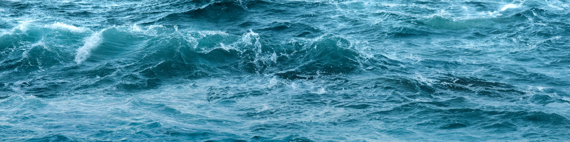 Kvalitetsleder - Hardanger Seafood